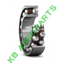 RULMENT 1205 WBF
