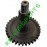 PINION POTTINGER Z34 M