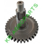 PINION POTTINGER Z34 M